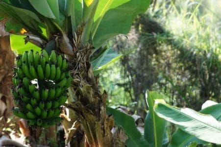 ഏപ്രില്‍ ഫൂള്‍ – അനുഭവം